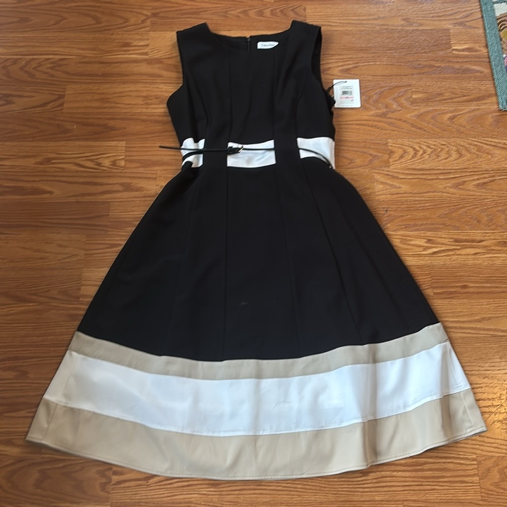 NWT Calvin Klein Black White Tan Stripe
Fit & Flare Sleeveless Dress Size 10 - Picture 10 of 12
